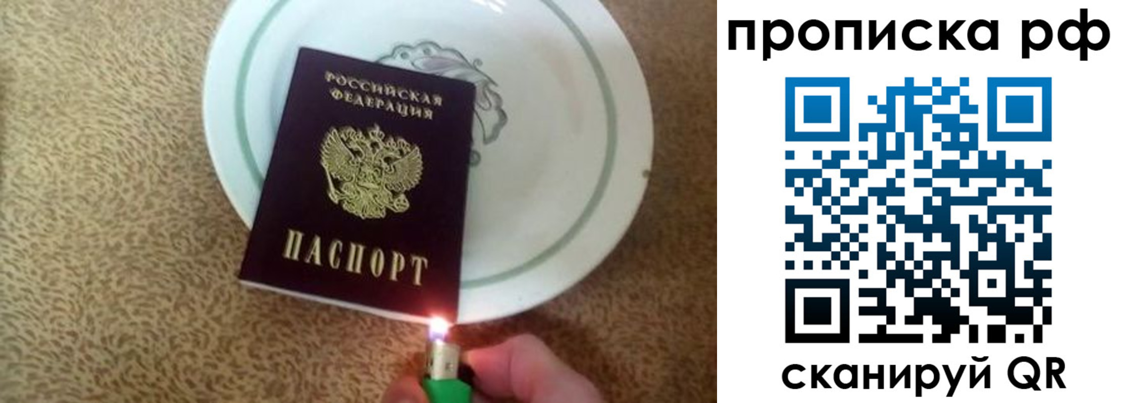 прописка в квартире в Курской области